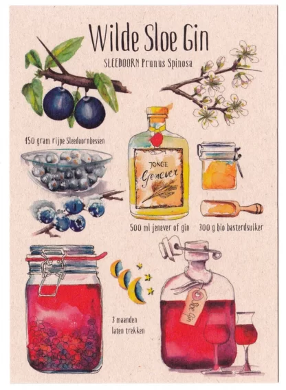 Postkaart met wildpluk recept voor Sloe Gin